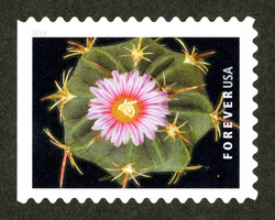 Thelocactus Heterochromus United States Postage Stamp | Cactus Flowers