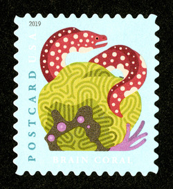 Brain Coral and Spotted Moray Eel - Postcard Rate United States Postage Stamp | Coral Reefs