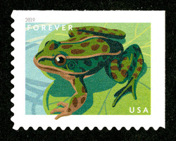 Northern Leopard Frog United States Postage Stamp | Frogs