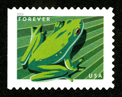 American Green Tree Frog United States Postage Stamp | Frogs