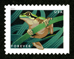 Squirrel Tree Frog United States Postage Stamp | Frogs