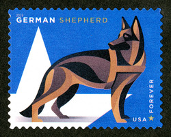 German Shepherd United States Postage Stamp | Military Working Dogs