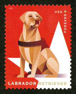 Labrador Retriever United States Postage Stamp | Military Working Dogs
