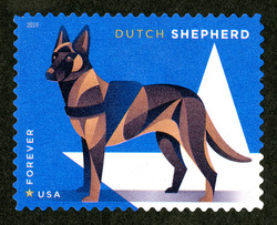 Dutch Shepherd United States Postage Stamp | Military Working Dogs
