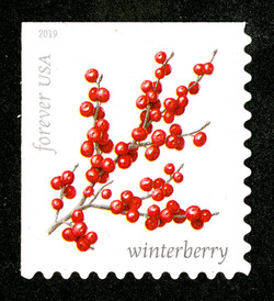 Winterberry United States Postage Stamp | Winter Berries