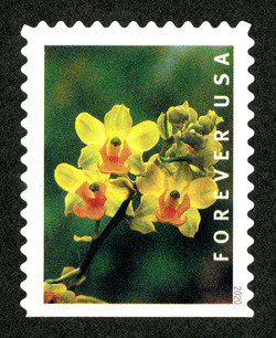 Cyrtopodium Polyphyllum - Booklet Single United States Postage Stamp | Wild Orchids