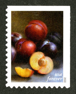 Red and Black Plums United States Postage Stamp | Fruits and Vegetables