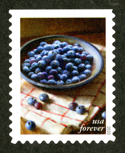 Blueberries United States Postage Stamp | Fruits and Vegetables