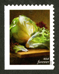Lettuce United States Postage Stamp | Fruits and Vegetables