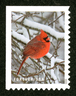 Cardinal United States Postage Stamp | Winter Scenes