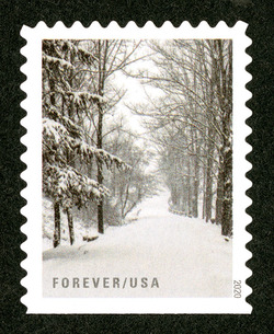 Snowy Trail in Woods United States Postage Stamp | Winter Scenes
