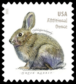 Brush Rabbit - Additional Ounce United States Postage Stamp