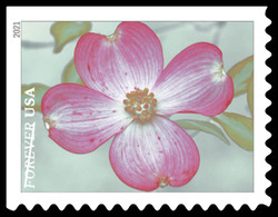 Pink Flowering Dogwood United States Postage Stamp | Garden Beauty