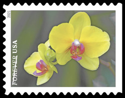 Yellow Moth Orchid With Pink Center United States Postage Stamp | Garden Beauty