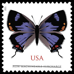 Colorado Hairstreak United States Postage Stamp | Butterflies