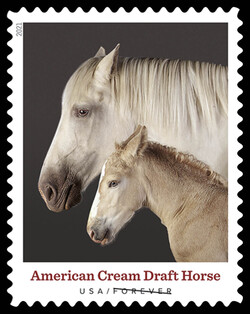 American Cream Draft Horse United States Postage Stamp | Heritage Breeds