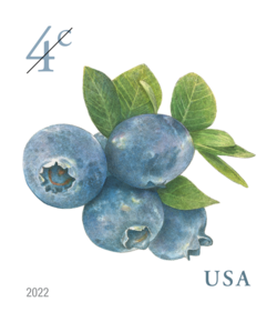 Blueberries United States Postage Stamp