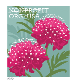 Scabiosas - Pincushion Flower - Nonprofit Org United States Postage Stamp | Butterfly Garden Flowers