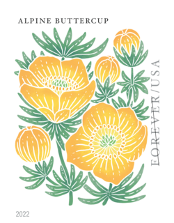 Alpine Buttercup - Booklet Single United States Postage Stamp | Mountain Flora