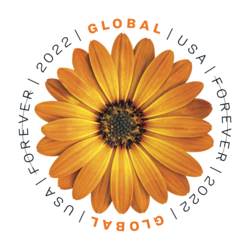 African Daisy - Global United States Postage Stamp