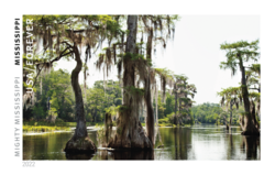 Mississippi United States Postage Stamp | Mighty Mississippi