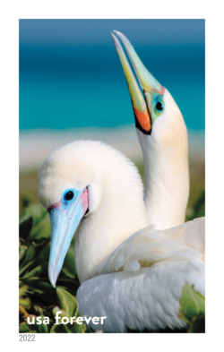 Red-footed Boobies United States Postage Stamp | National Marine Sanctuaries