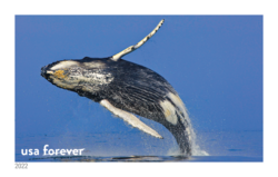 Humpback Whale United States Postage Stamp | National Marine Sanctuaries