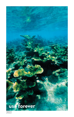 Elkhorn Coral United States Postage Stamp | National Marine Sanctuaries