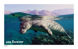 Hawaiian Monk Seal United States Postage Stamp | National Marine Sanctuaries