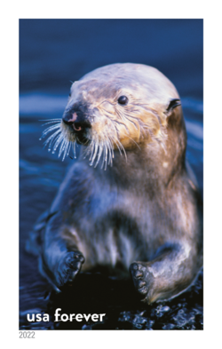 Sea Otter United States Postage Stamp | National Marine Sanctuaries