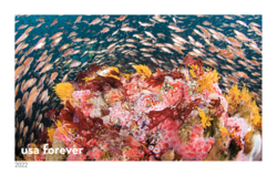 Young Rockfish Exploring Reef United States Postage Stamp | National Marine Sanctuaries