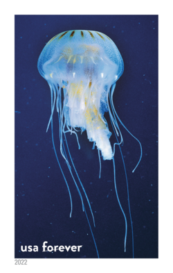 Atlantic Sea Nettle United States Postage Stamp | National Marine Sanctuaries