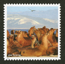 Sea Lions United States Postage Stamp | National Marine Sanctuaries