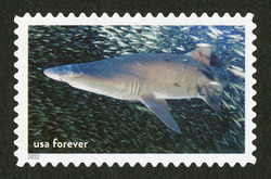 Sand Tiger Shark United States Postage Stamp | National Marine Sanctuaries