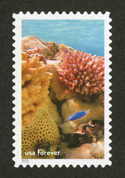 Corals and Fish - Rose Atoll United States Postage Stamp | National Marine Sanctuaries