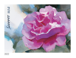 Camellia United States Postage Stamp | Snowy Beauty