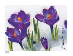 Crocus United States Postage Stamp | Snowy Beauty