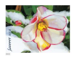 Hellebore United States Postage Stamp | Snowy Beauty