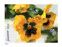 Pansy United States Postage Stamp | Snowy Beauty