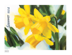 Daffodil United States Postage Stamp | Snowy Beauty
