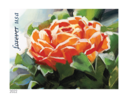 Ranunculus United States Postage Stamp | Snowy Beauty