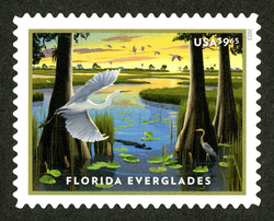 Florida Everglades - Priority Mail United States Postage Stamp
