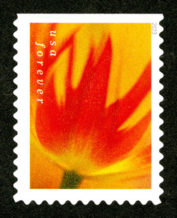 Orange and Red Tulip United States Postage Stamp | Tulip Blossoms