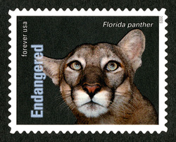 Florida Panther United States Postage Stamp | Endangered Species