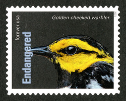 Golden-cheeked Warbler United States Postage Stamp | Endangered Species