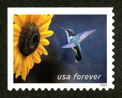 Ruby-throated Hummingbird - Sunflower United States Postage Stamp | Garden Delights