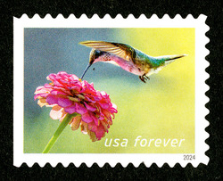 Ruby-throated Hummingbird - Zinnia United States Postage Stamp | Garden Delights