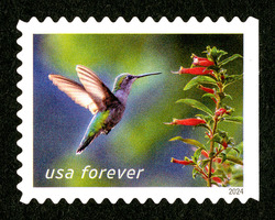 Ruby-throated Hummingbird - Cigar Flowers United States Postage Stamp | Garden Delights