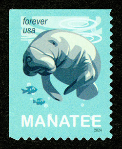 Save Manatees United States Postage Stamp