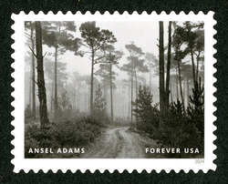 Road and Fog - Del Monte Forest - Pebble Beach - 1964 United States Postage Stamp | Ansel Adams